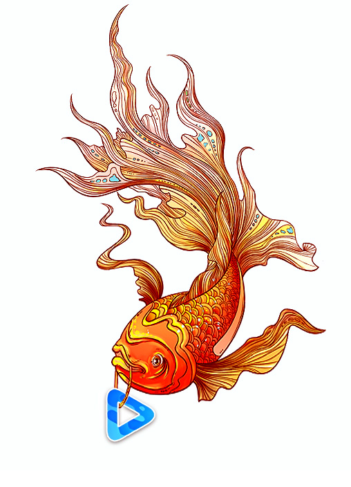 多看与金鱼.jpg