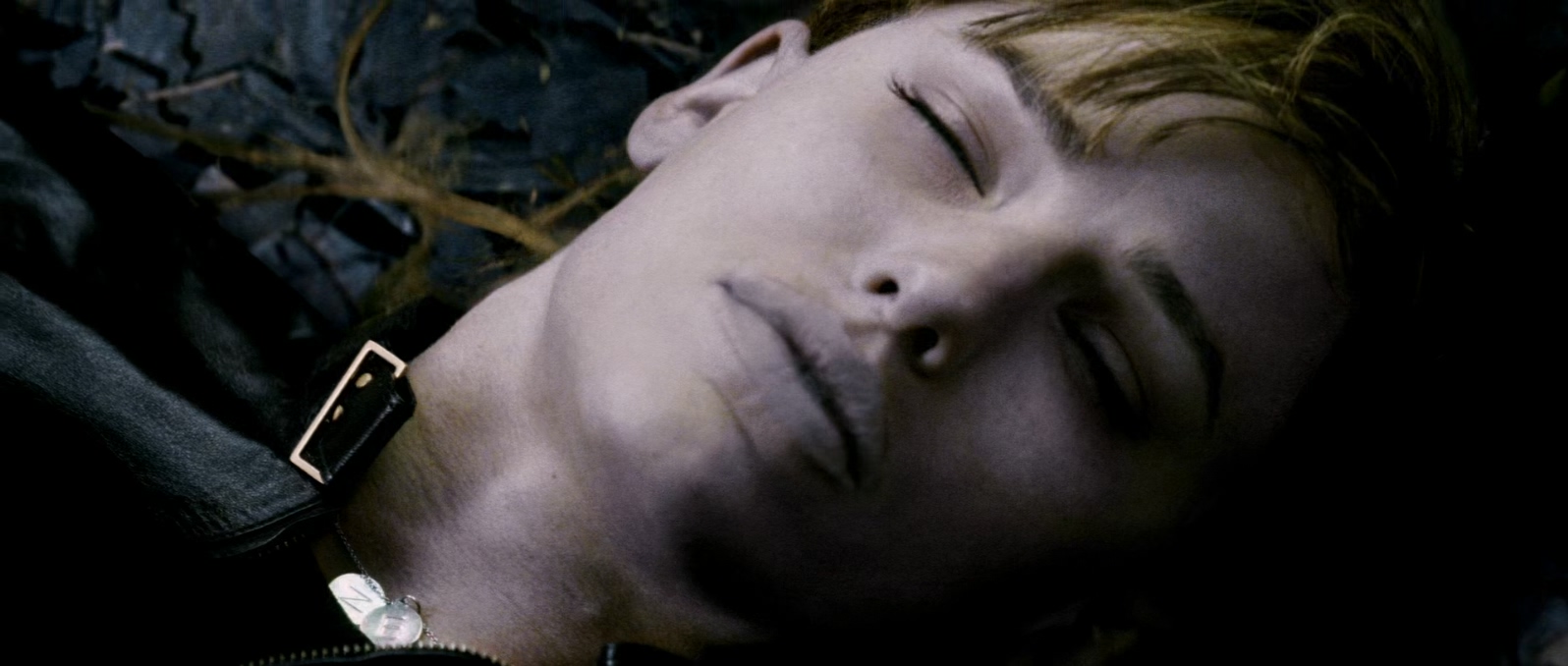 艾丽卡.Elektra.2005.BluRay.x265.2Audio.AAC(5.1).1080P.特效字幕.YYH3D.mkv_2025031.jpg