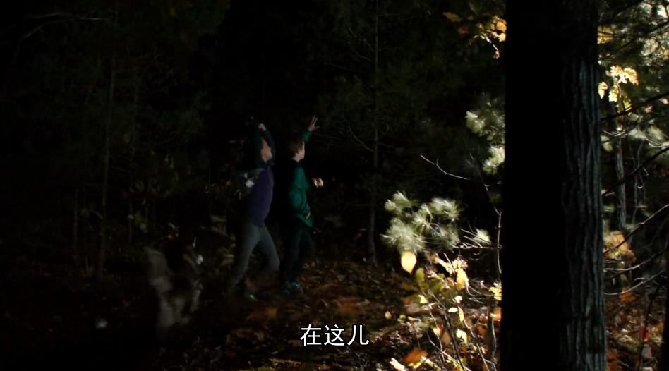 76捕获.PNG