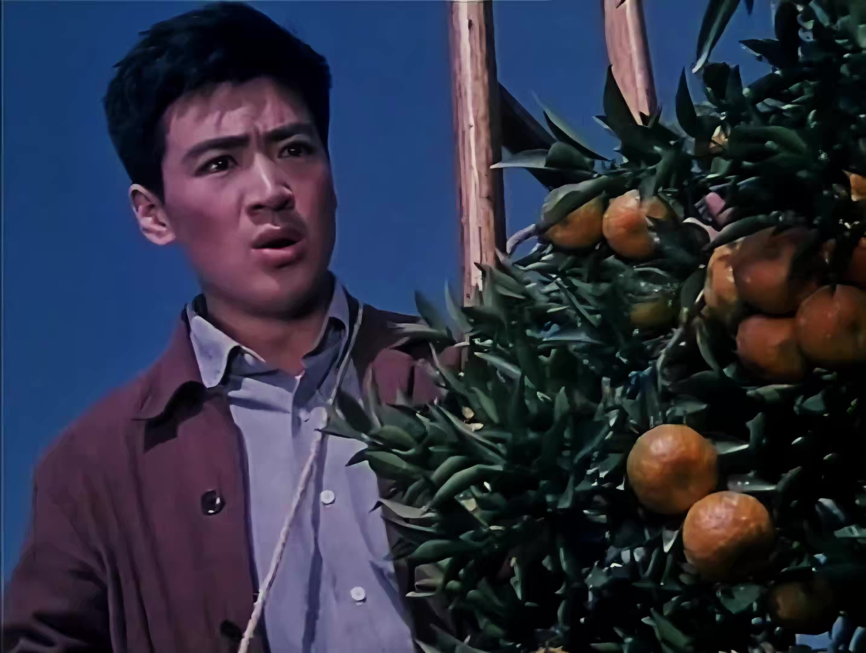 月亮湾的笑声.mp4_20250322_022538.848.jpg