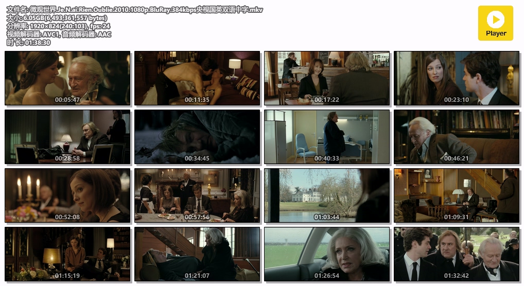 微观世界.Je.N.ai.Rien.Oublie.2010.1080p.BluRay.384kbps央视国英双语中字.mkv.jpg