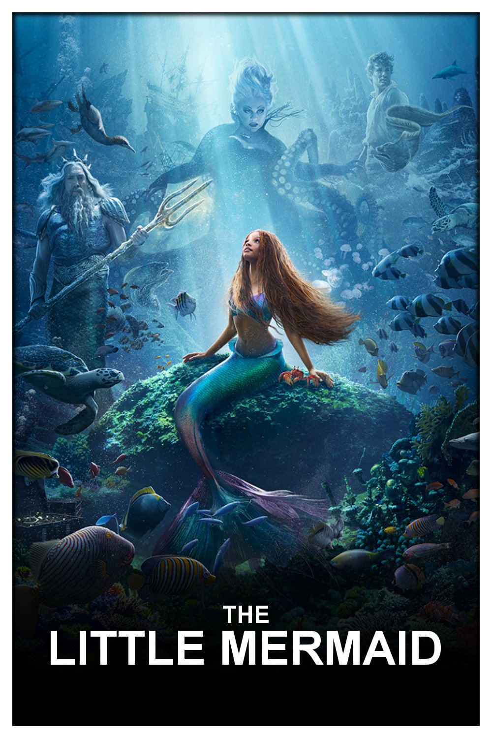 poster (2).jpg