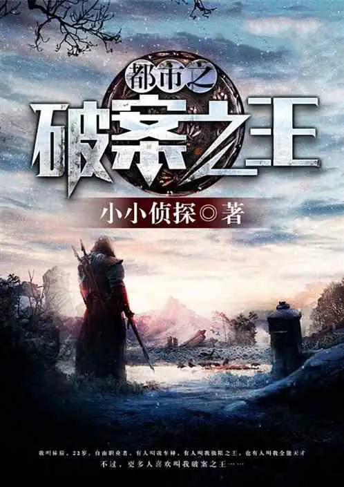 都市之破案之王.jpg