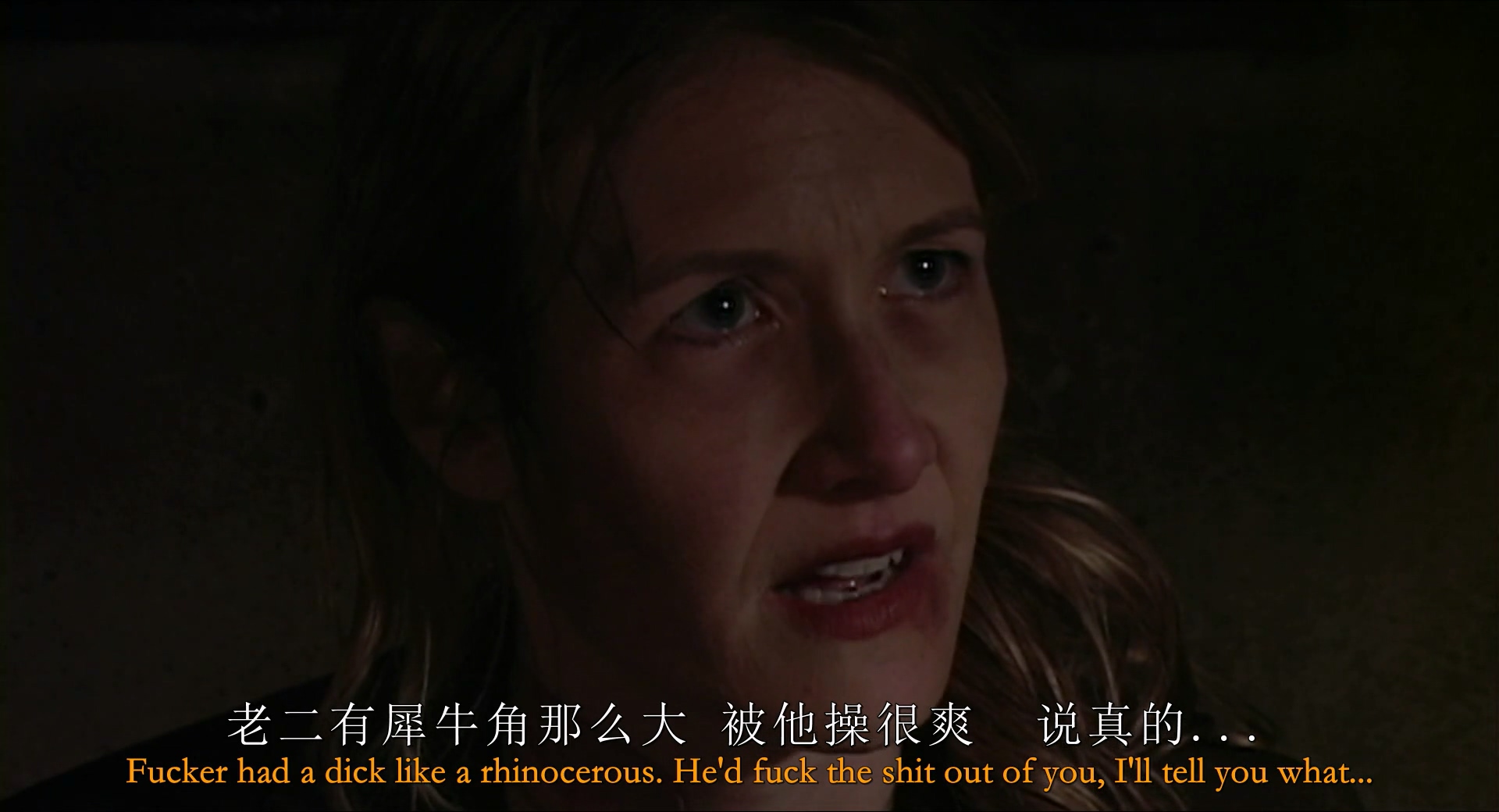 内陆帝国.1080p.BD中英双字[66影视www.66Ys.Co].mp4_20250510_092353.220.jpg