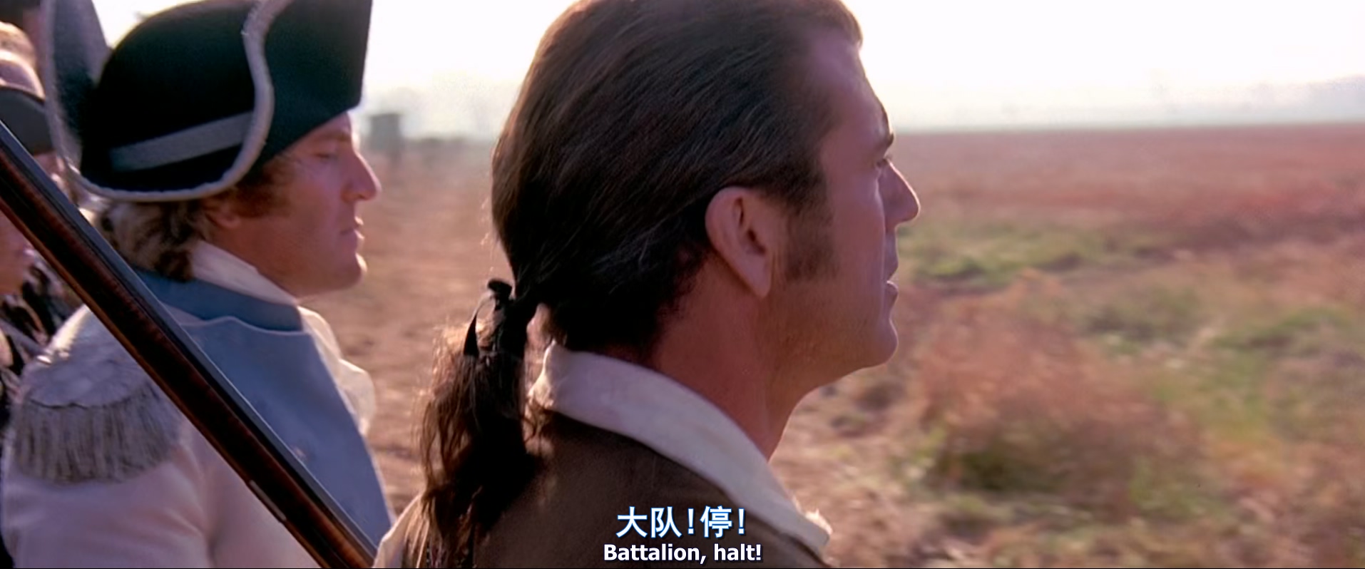 爱国者.The.Patriot.2000.Extended.1080p.BluRay.x265.10bit.3audio.Tigole.mkv_20250.jpg