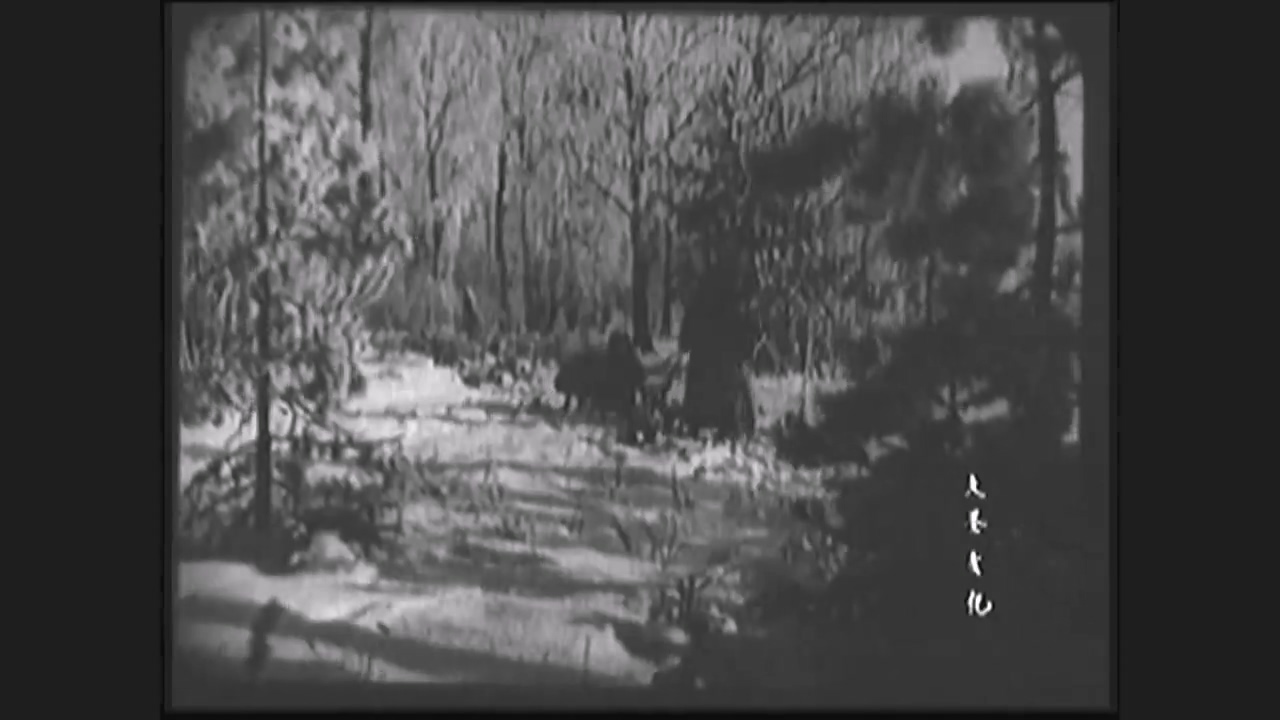 走向新岸(长译1955).mkv_20250510_153326.572.jpg