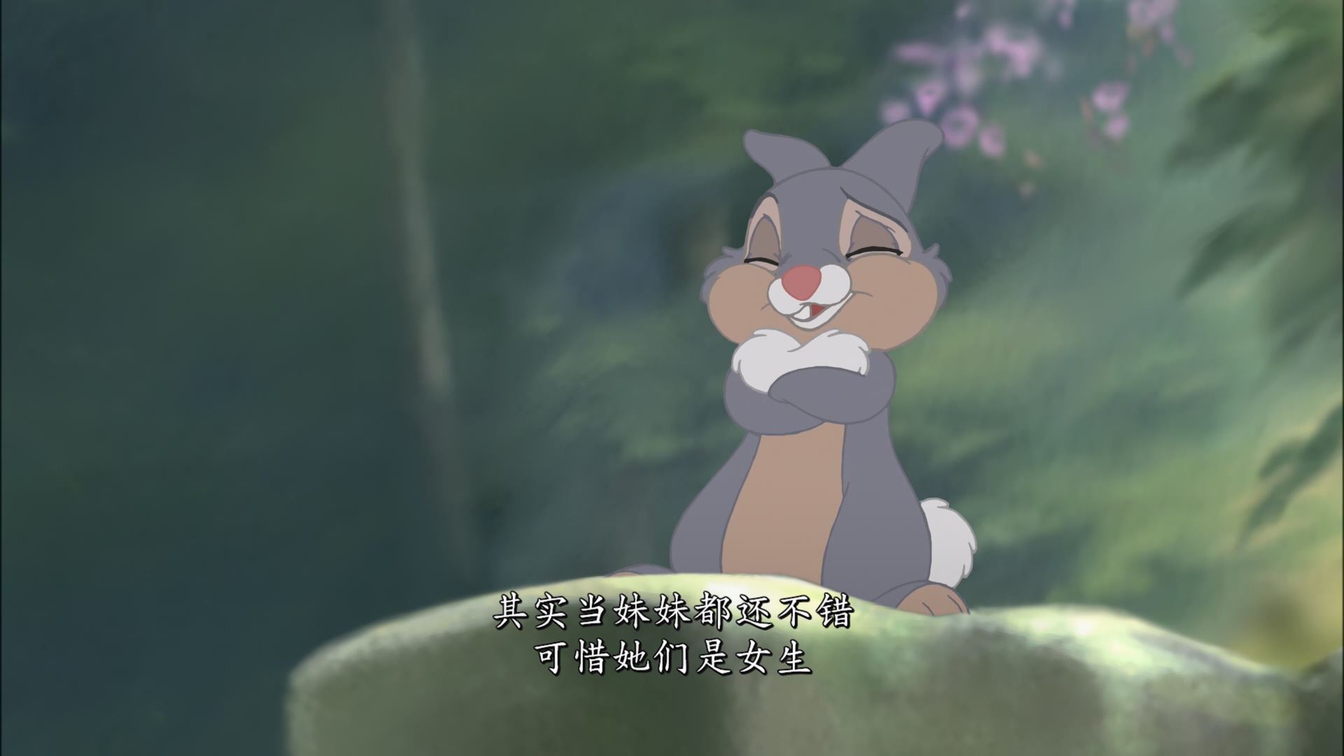 Bambi.2.2006.Bluray.1080p.x265.10bit.2Audios.MNHD-FRDS.mkv_20250510_230917.435.jpg
