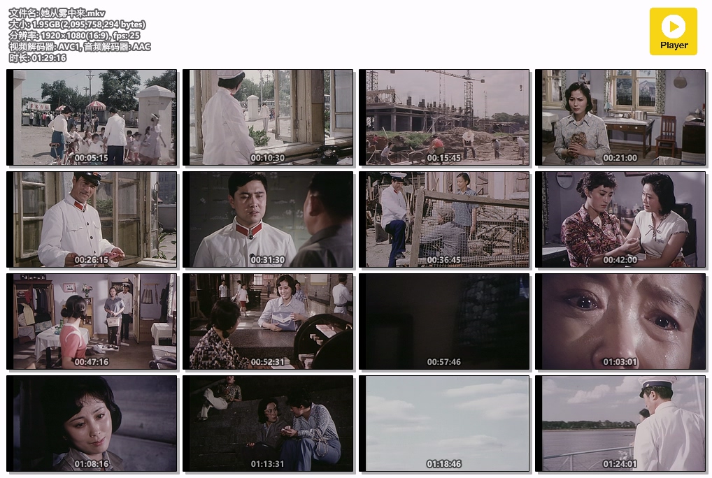 她从雾中来.mkv.jpg