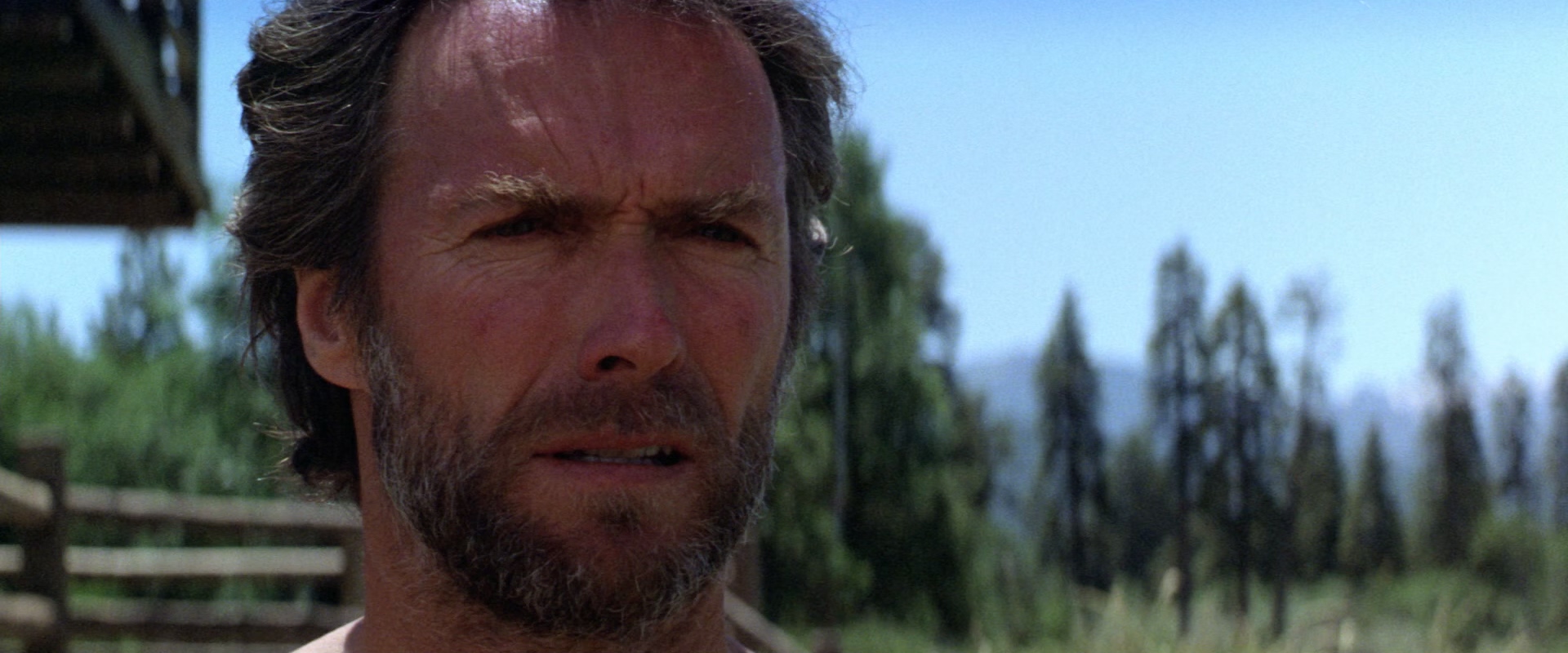 Firefox.1982.BluRay.1080p.DTS-HD.MA.5.1.x265.10bit-DreamHD.mkv_20250514_215026.977.jpg