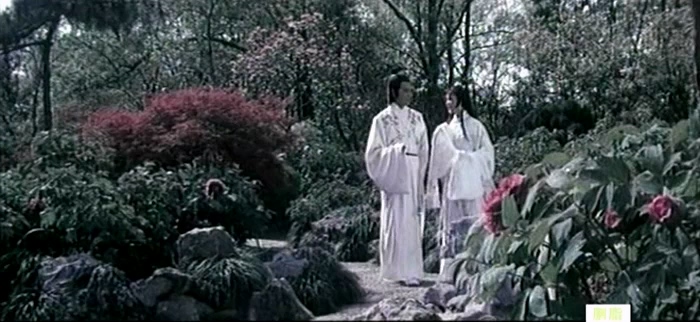 胭脂.TVRip.1980.浙江电影制片厂出品.上译配音.mkv_20250516_214438.457.jpg