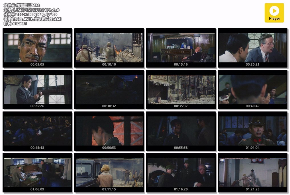 屠城血证.MP4.jpg