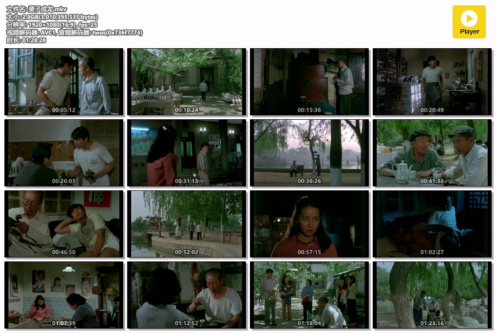 望子成龙.mkv.jpg