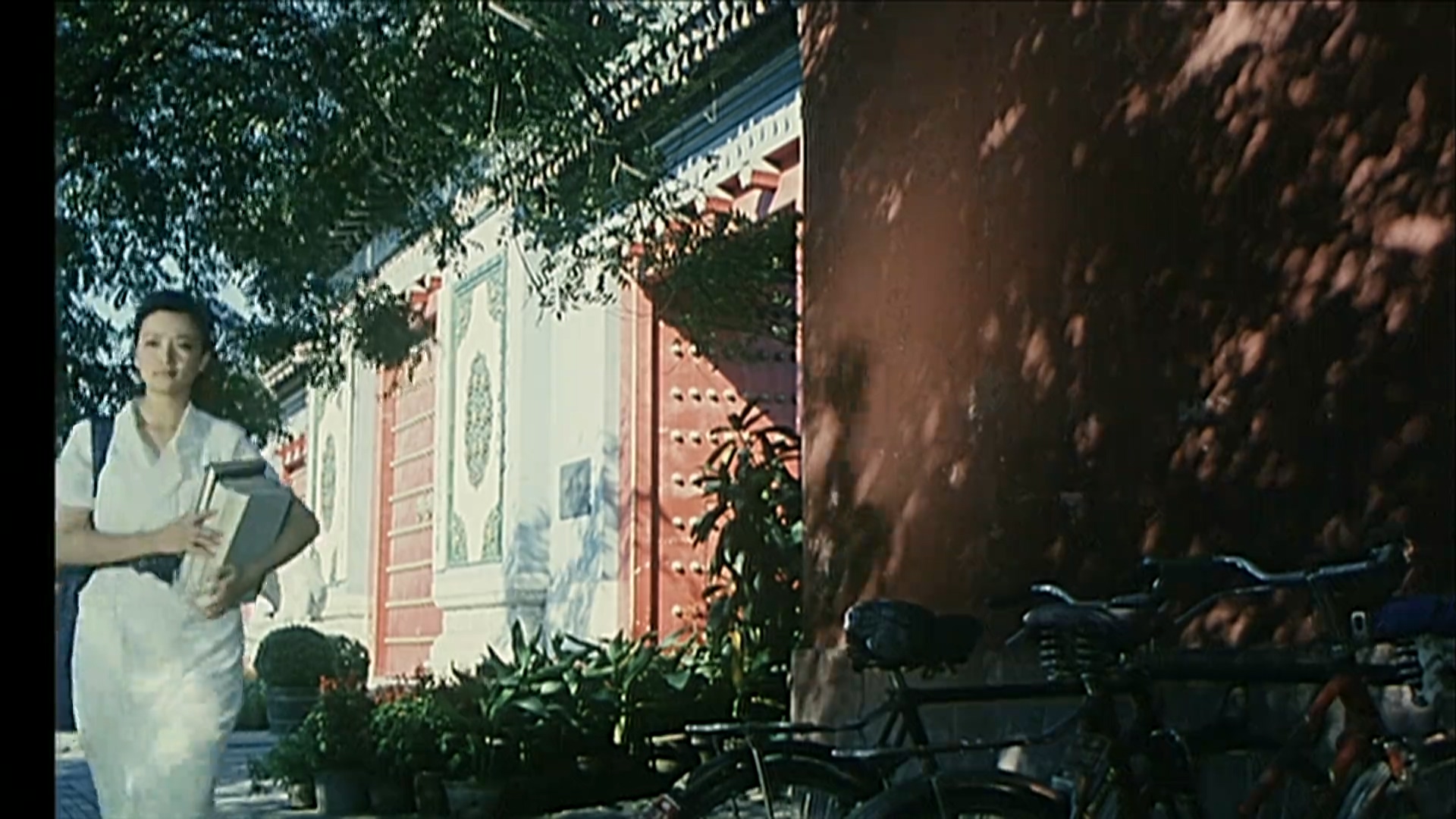 红墙外.mp4_20250527_205034.113.jpg
