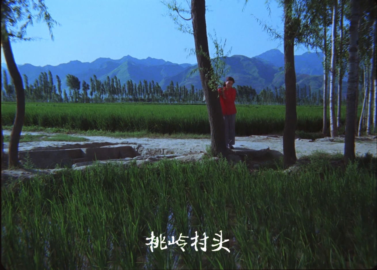 杏花村.mkv_20250528_105951.023.jpg