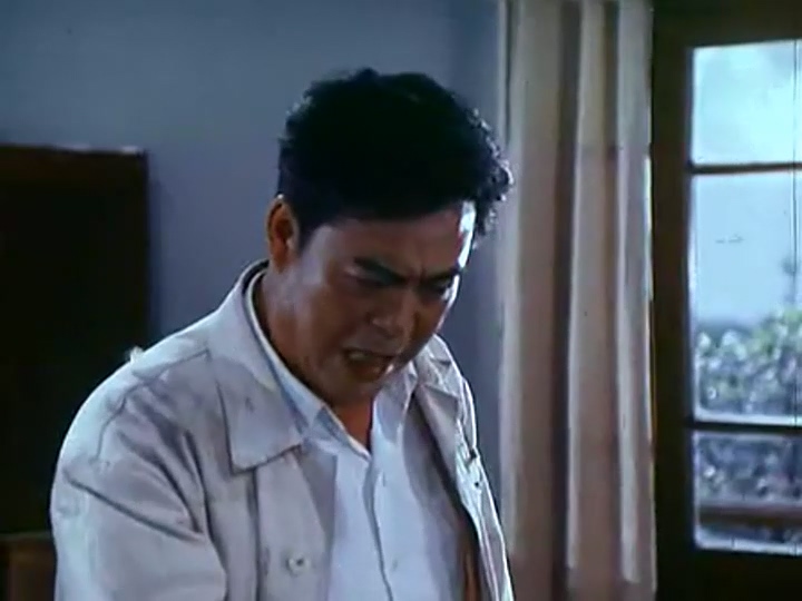 《第二个春天》（上影1975）WEB-DL.x264.mkv_20250528_130636.011.jpg