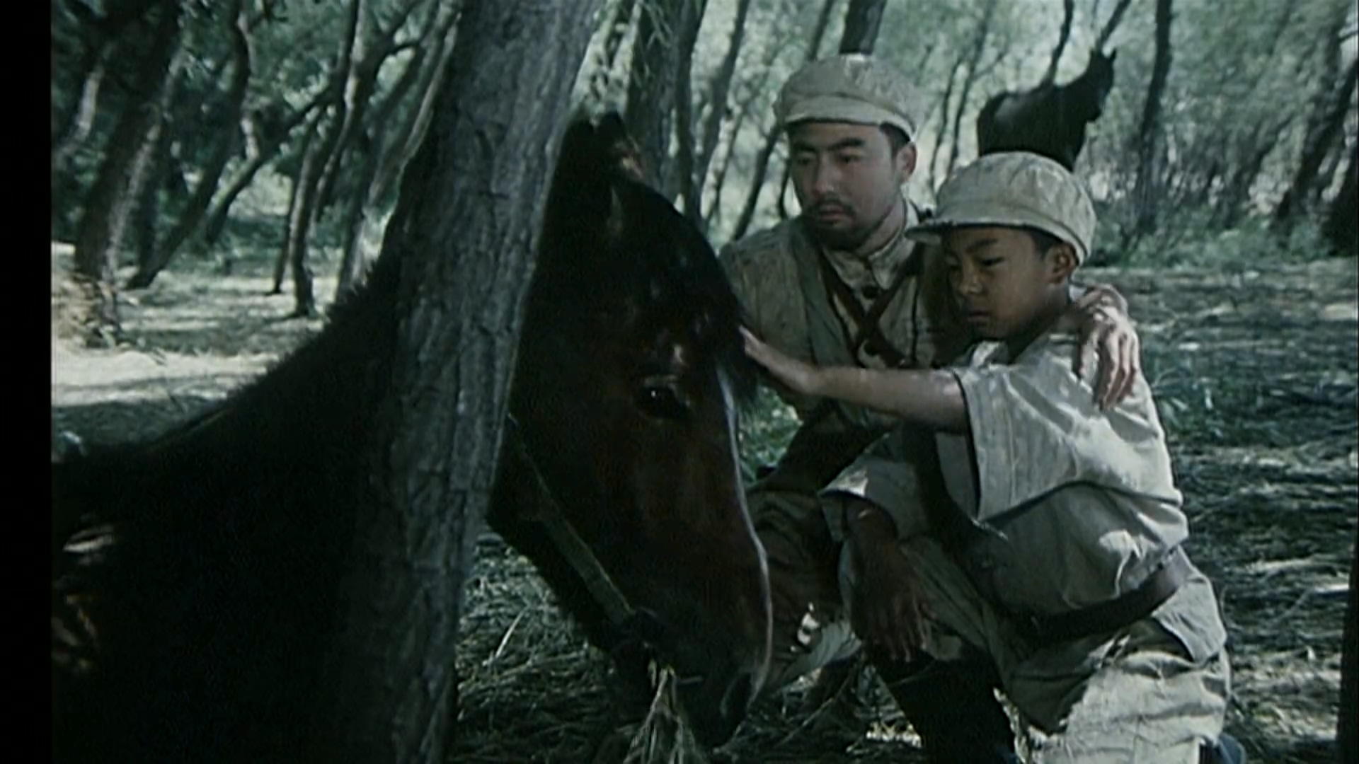小骑兵历险记.mp4_20250529_160832.975.jpg