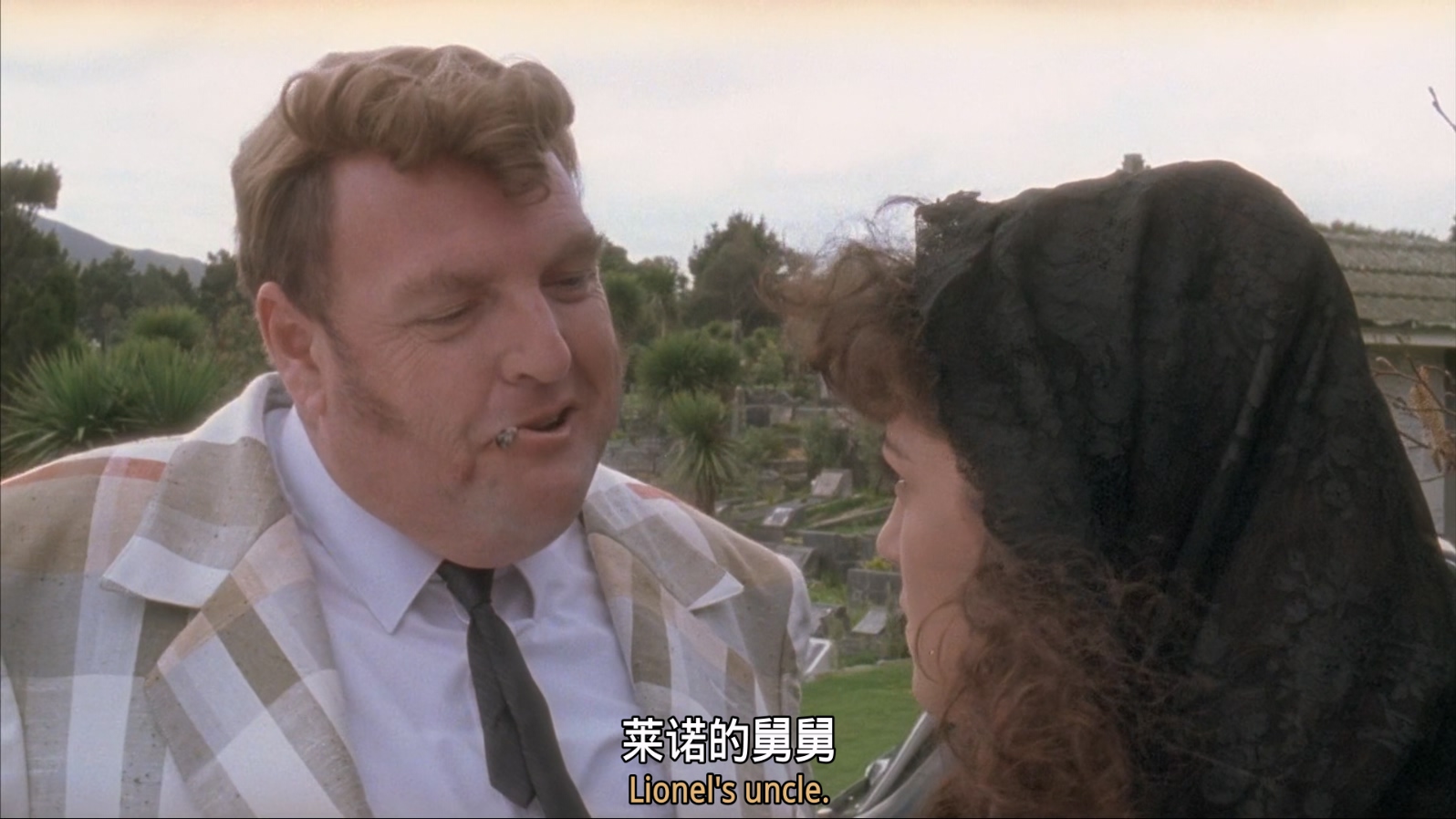 群尸玩过界.未分级版.Braindead.1992.BD.1080P.x265.10bit.DD2.0.2audio-FFansBD特效.jpg