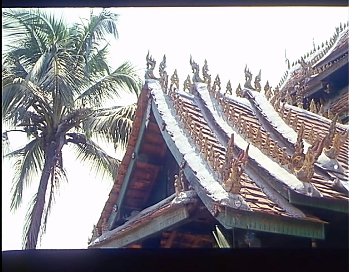 小象西娜.MP4_20250531_111332.099.jpg