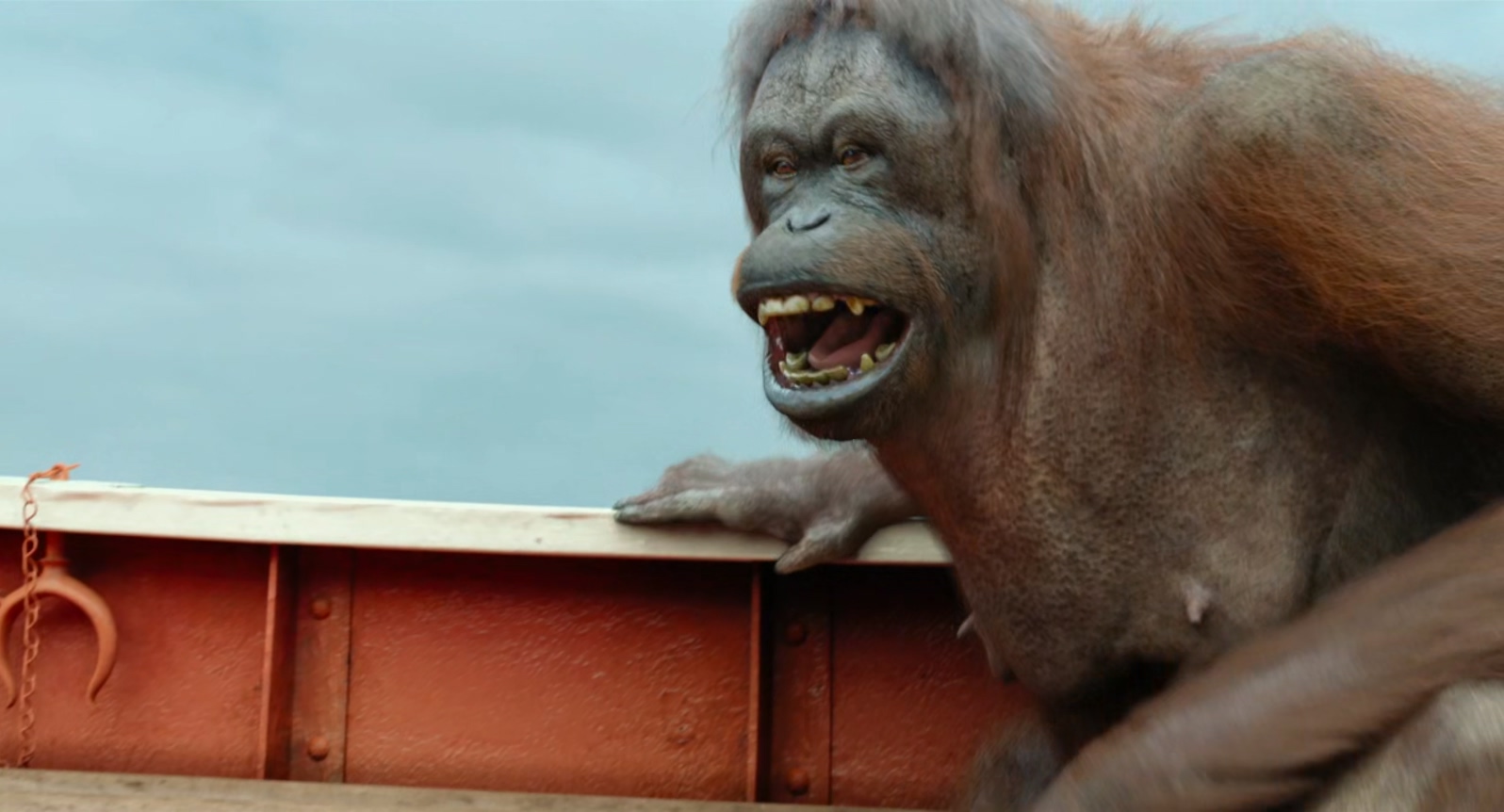 少年派的奇幻漂流.Life.of.Pi.2012.CEE.Bluray.1080p.x265.AAC(5.1).2Audios.GREENOTE.jpg