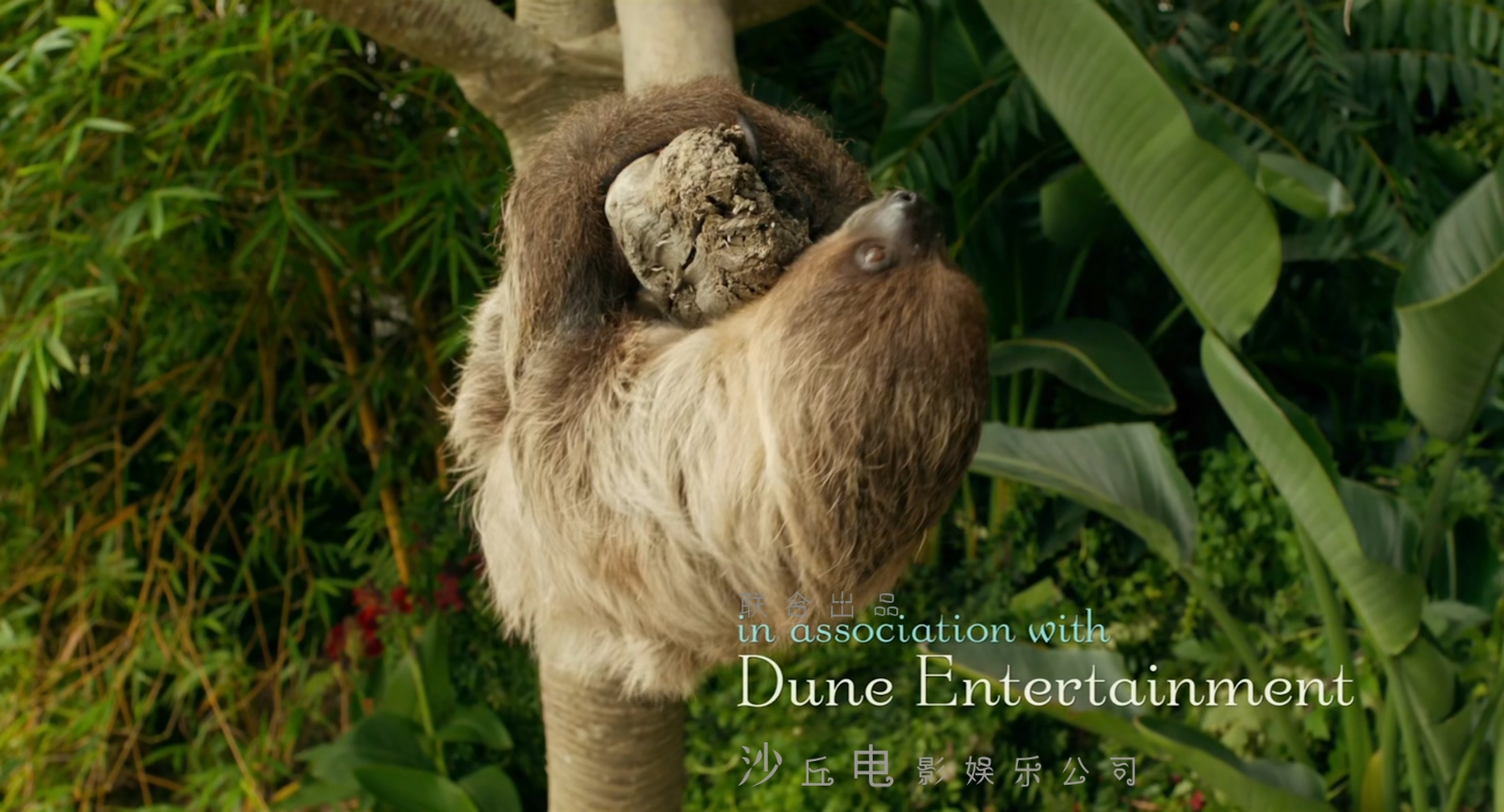少年派的奇幻漂流.Life.of.Pi.2012.CEE.Bluray.1080p.x265.AAC(5.1).2Audios.GREENOTE.jpg