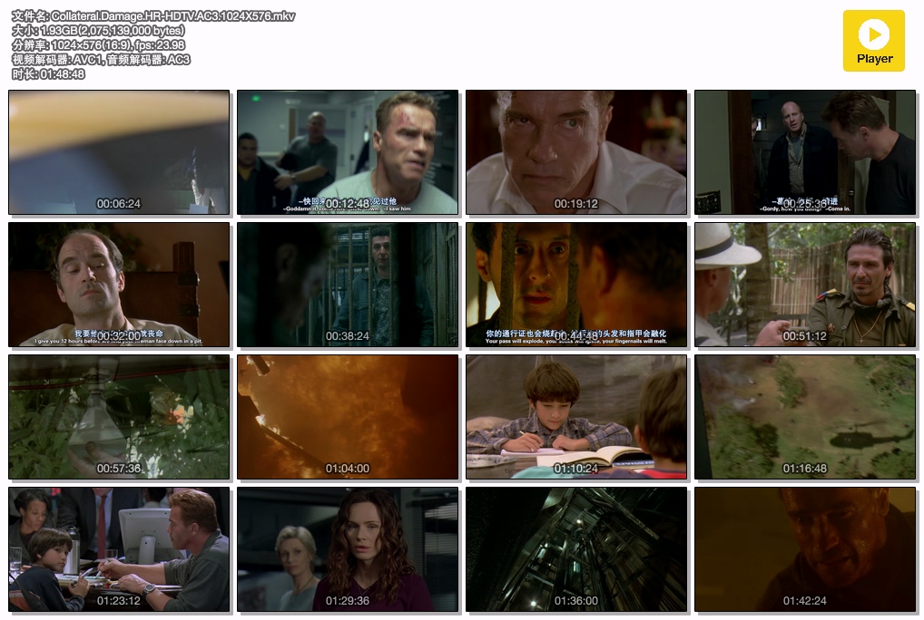 Collateral.Damage.HR-HDTV.AC3.1024X576.mkv.jpg