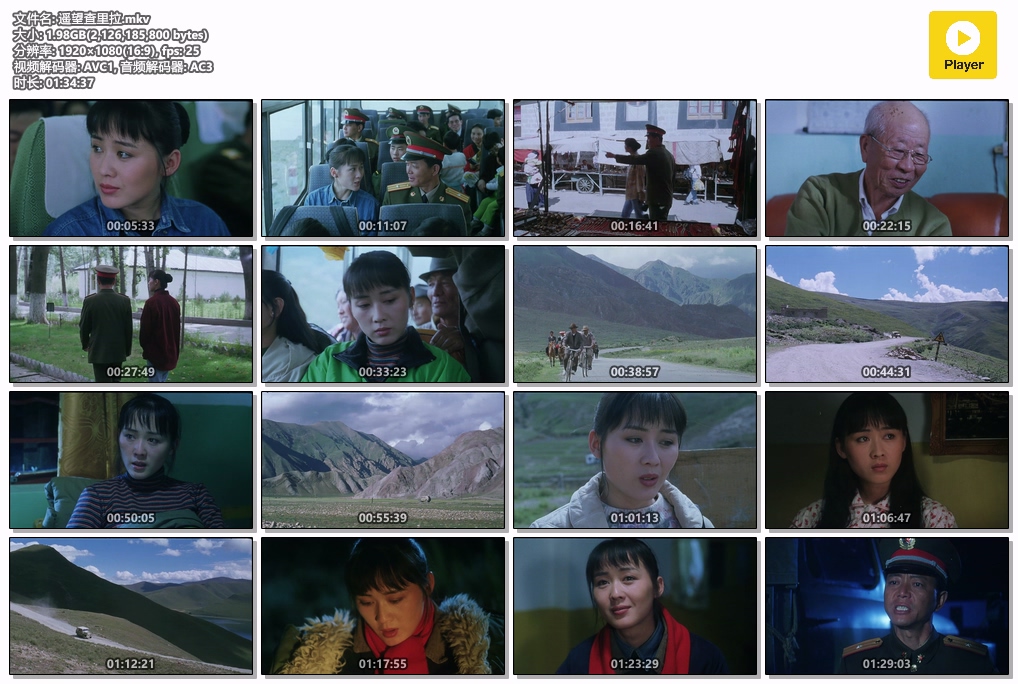 遥望查里拉.mkv.jpg