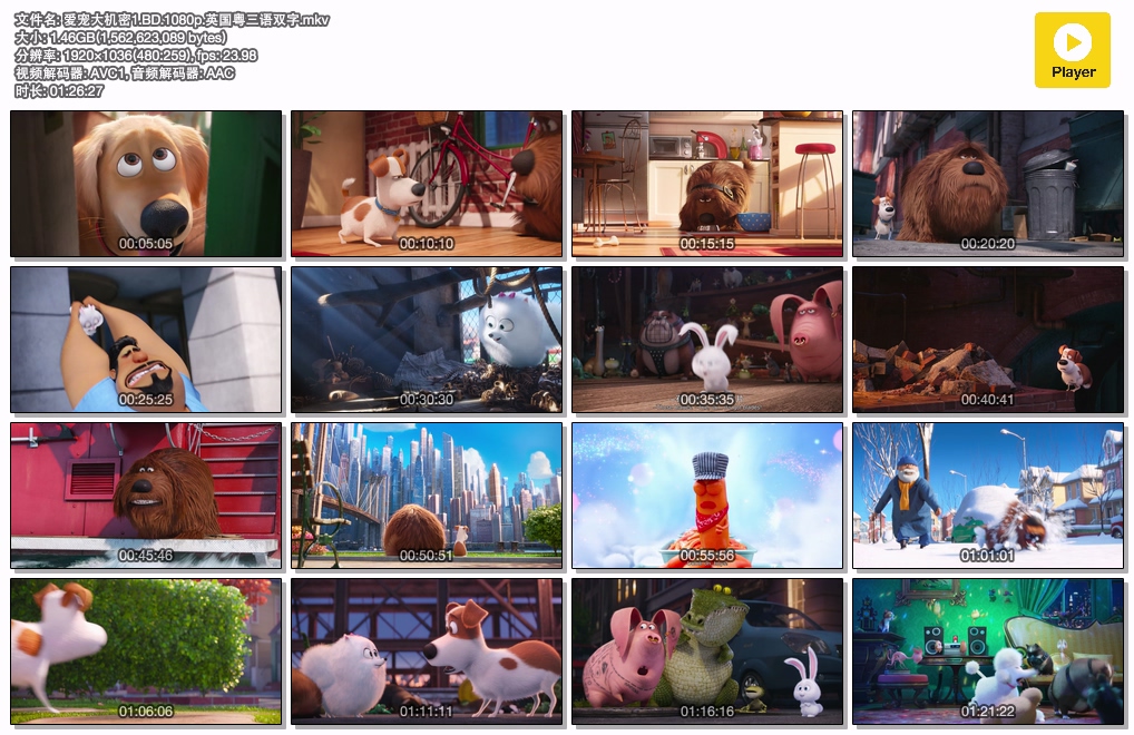 爱宠大机密1.BD.1080p.英国粤三语双字.mkv.jpg