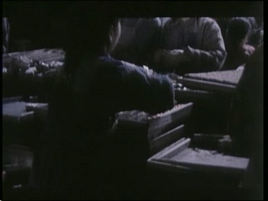 跳动的火焰-01（长影1984）.dat_20250610_191231.262.jpg