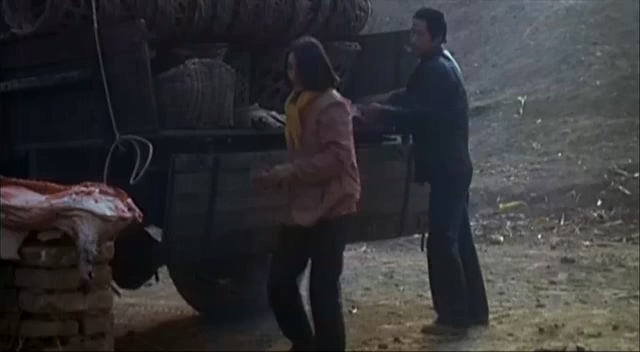 二嫫.Ermo.1994.DVD.X264.AAC.HALFCD.mkv_20250615_221803.007.jpg