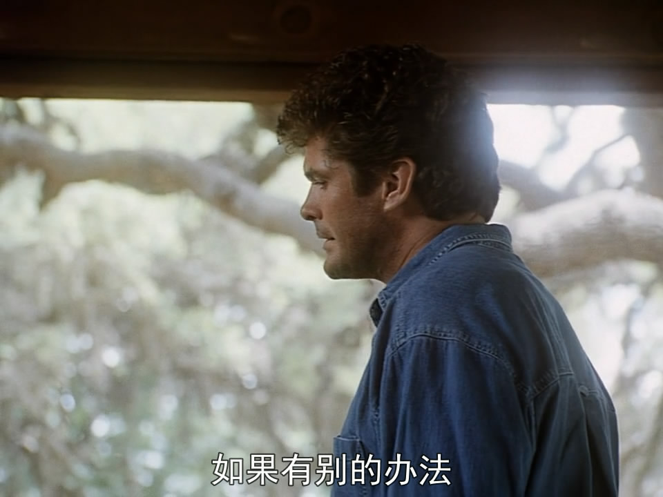 霹雳游侠2000.1991[00_14_15][20250620-084810-0].JPG