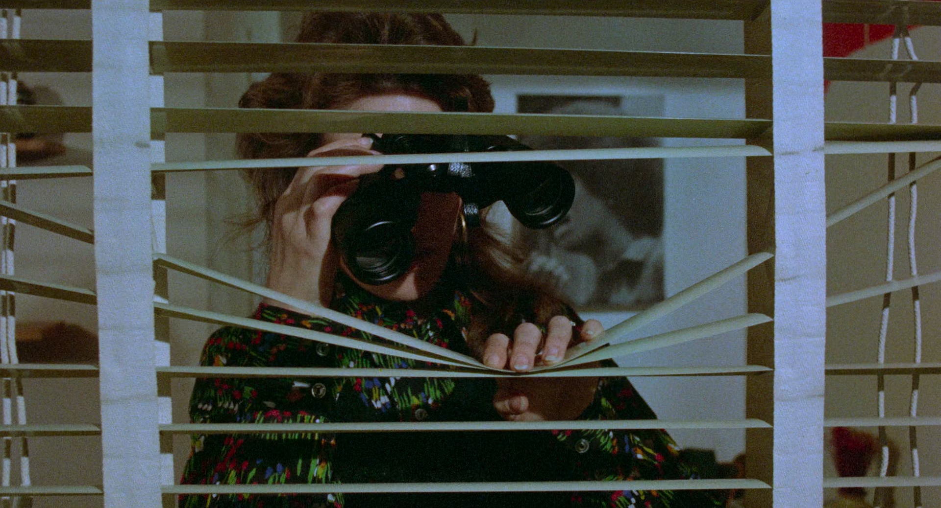 Sisters.1972.CC.BluRay.1080p.DTS-HD.MA1.0.x265.10bit-ALT.mkv_20250622_085447.326.jpg