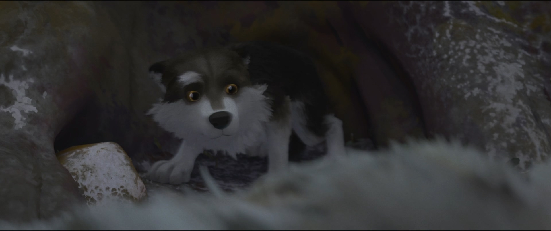 白牙.White.Fang.2018.1080p.BluRay.H264.AAC.384kbps央视国英双语双字.mkv_20250624_.jpg