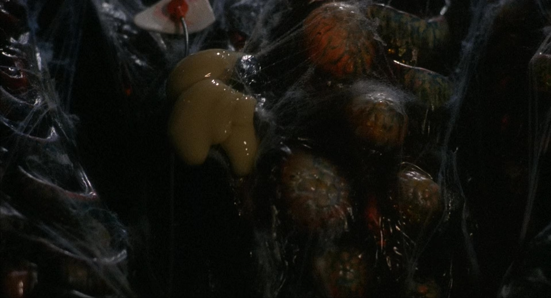 变蝇人新版2.The.Fly.II.1989.2Audio.CN.mkv_20250629_204228.755.jpg