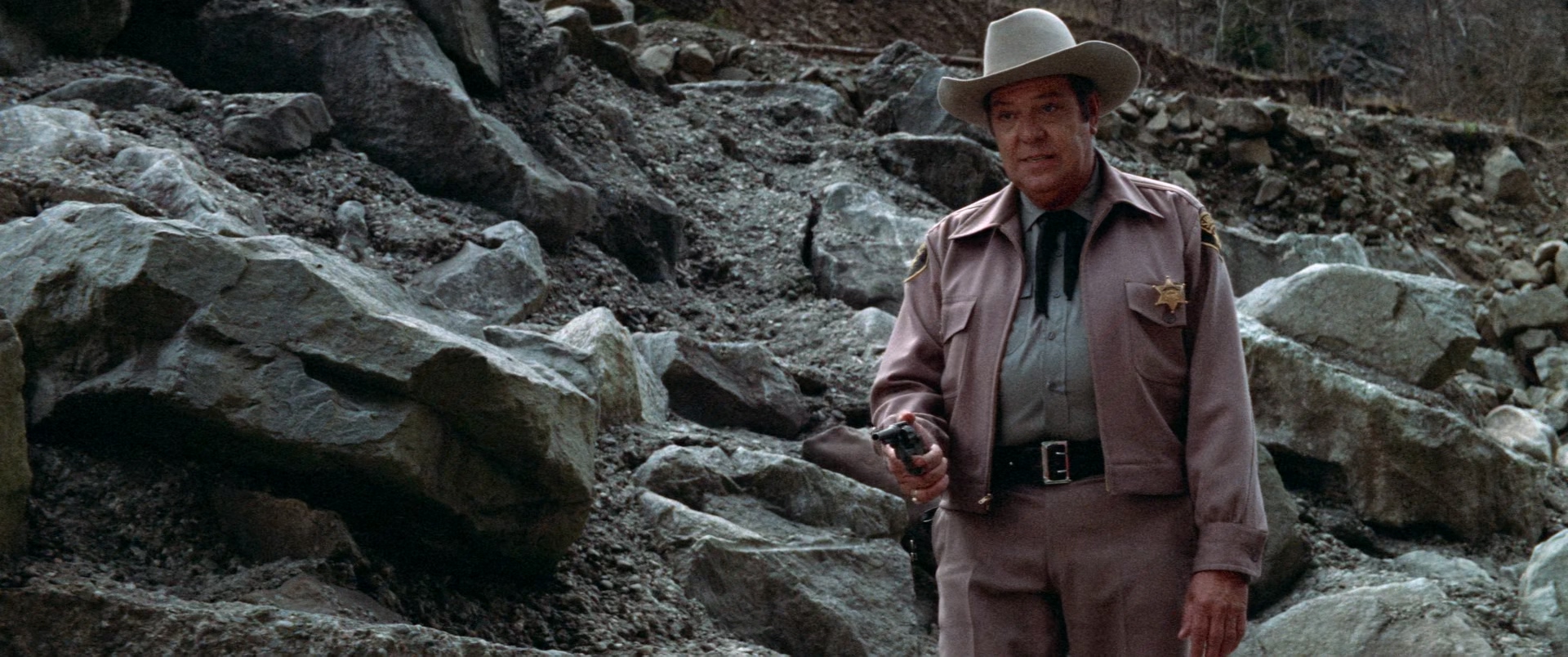 The.Parallax.View.1974.CC.BluRay.1080p.x265.10bit.FLAC.MNHD-PAGEHD.mkv_20250704_.jpg