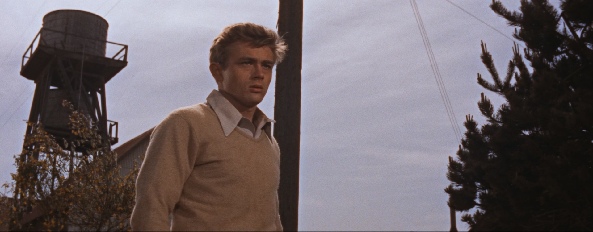 East.of.Eden.1955.1080p.BluRay.x265.10bit.DTS.2Audio-SONYHD.mkv_20250705_084320.976.jpg