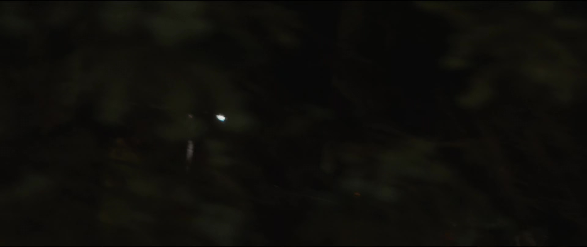 凶火.Firestarter.2022.CN.mkv_20250710_091314.549.jpg