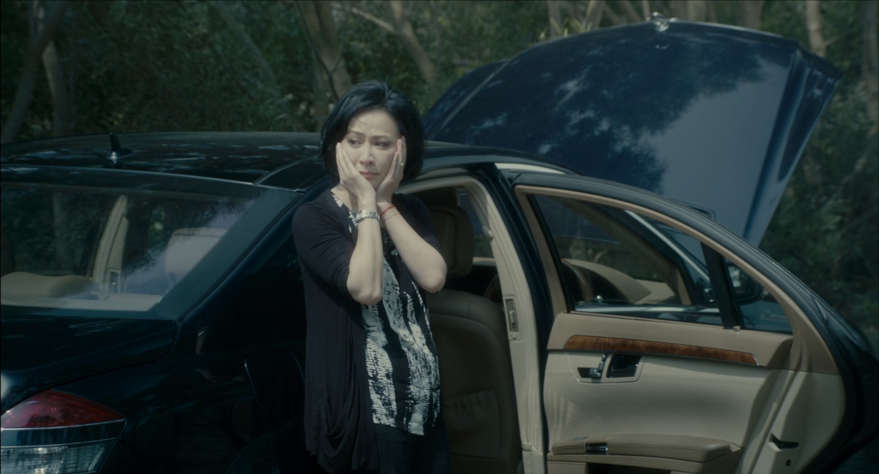 过界男女.Bends.2013.CHINESE.1080p.BluRay.x265.2audio-VXT.mkv_20250717_101333.811.jpg