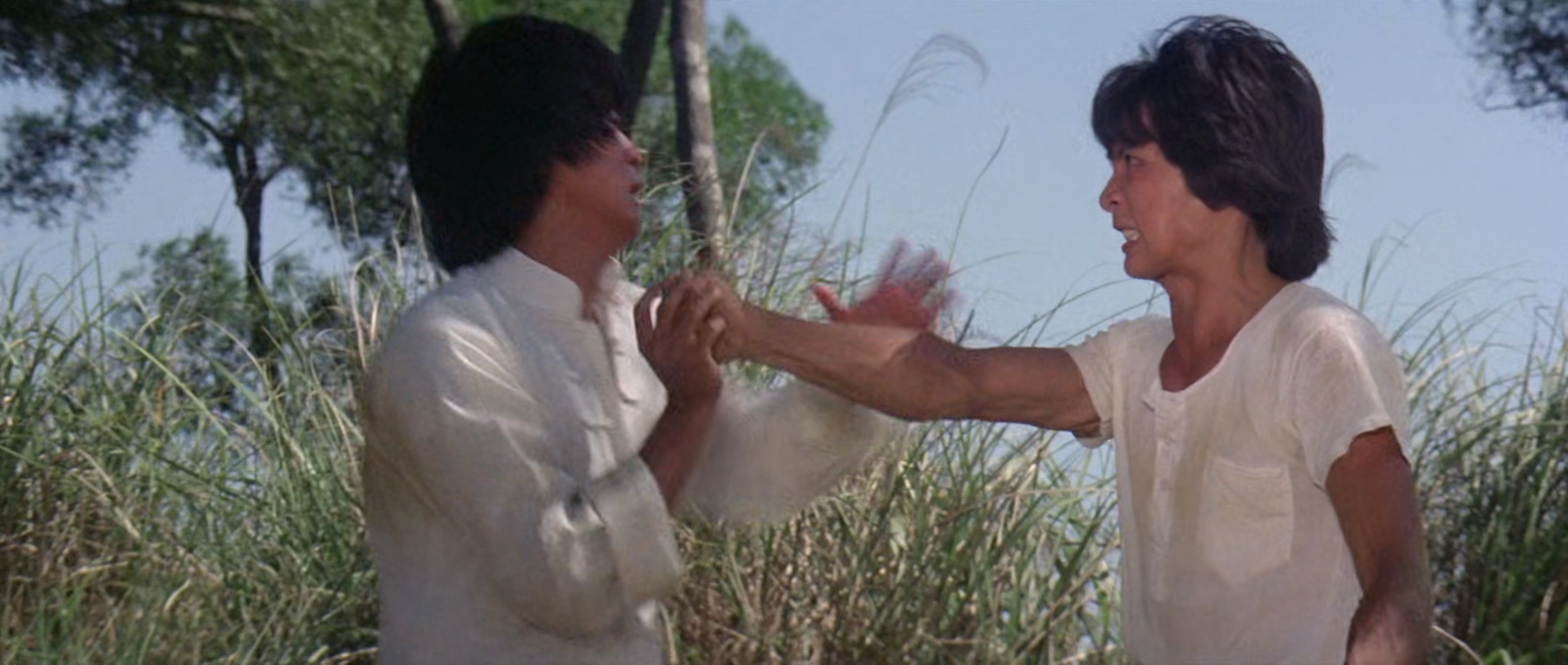 虎豹龙蛇鹰.The.7.Grandmasters.1977.CHINESE.1080p.BluRay.x265-VXT.mkv_20250725_10.jpg