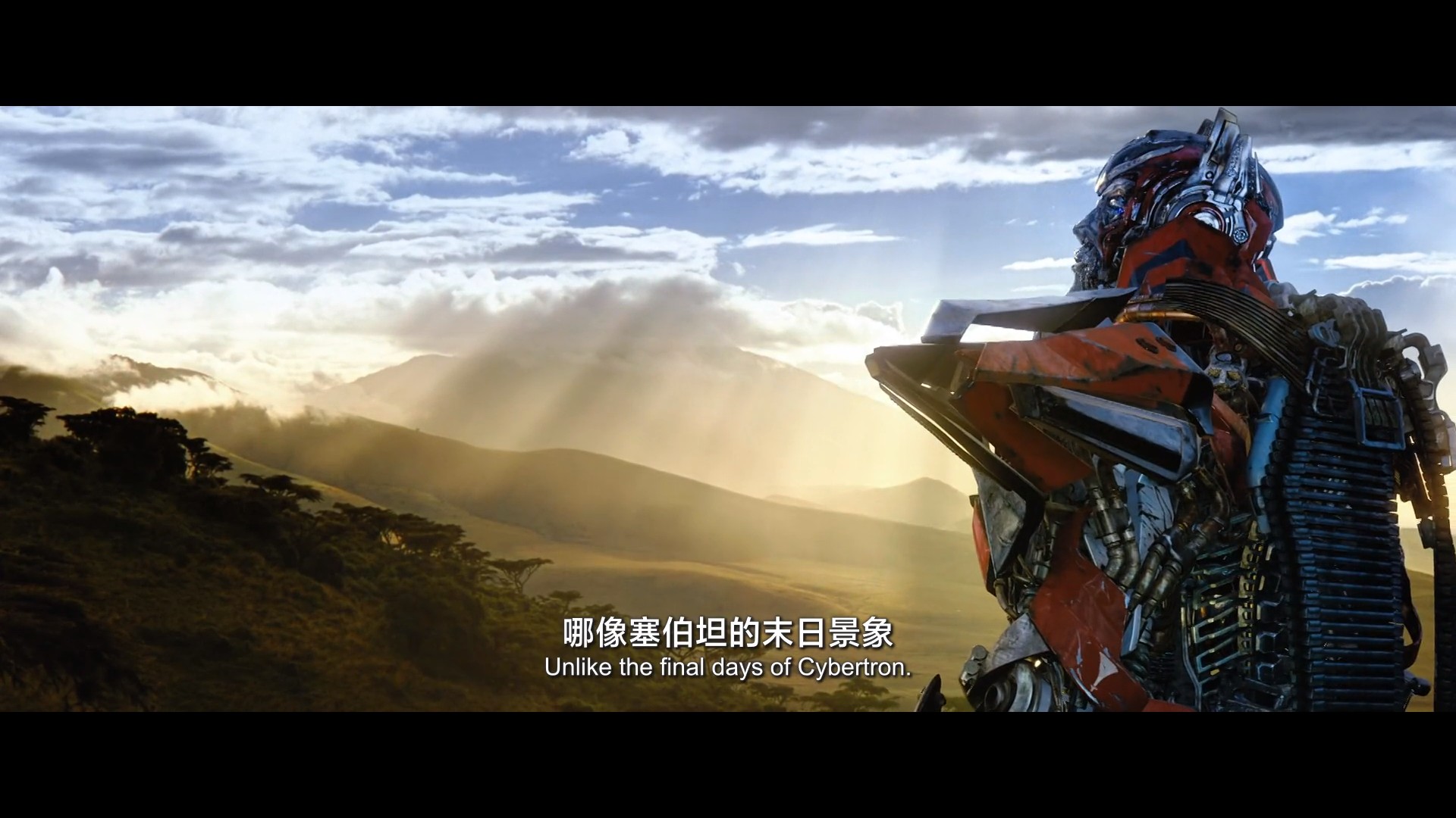3a9178ce-0f4c-43f4-8d4f-fd5d09fd5980.jpg