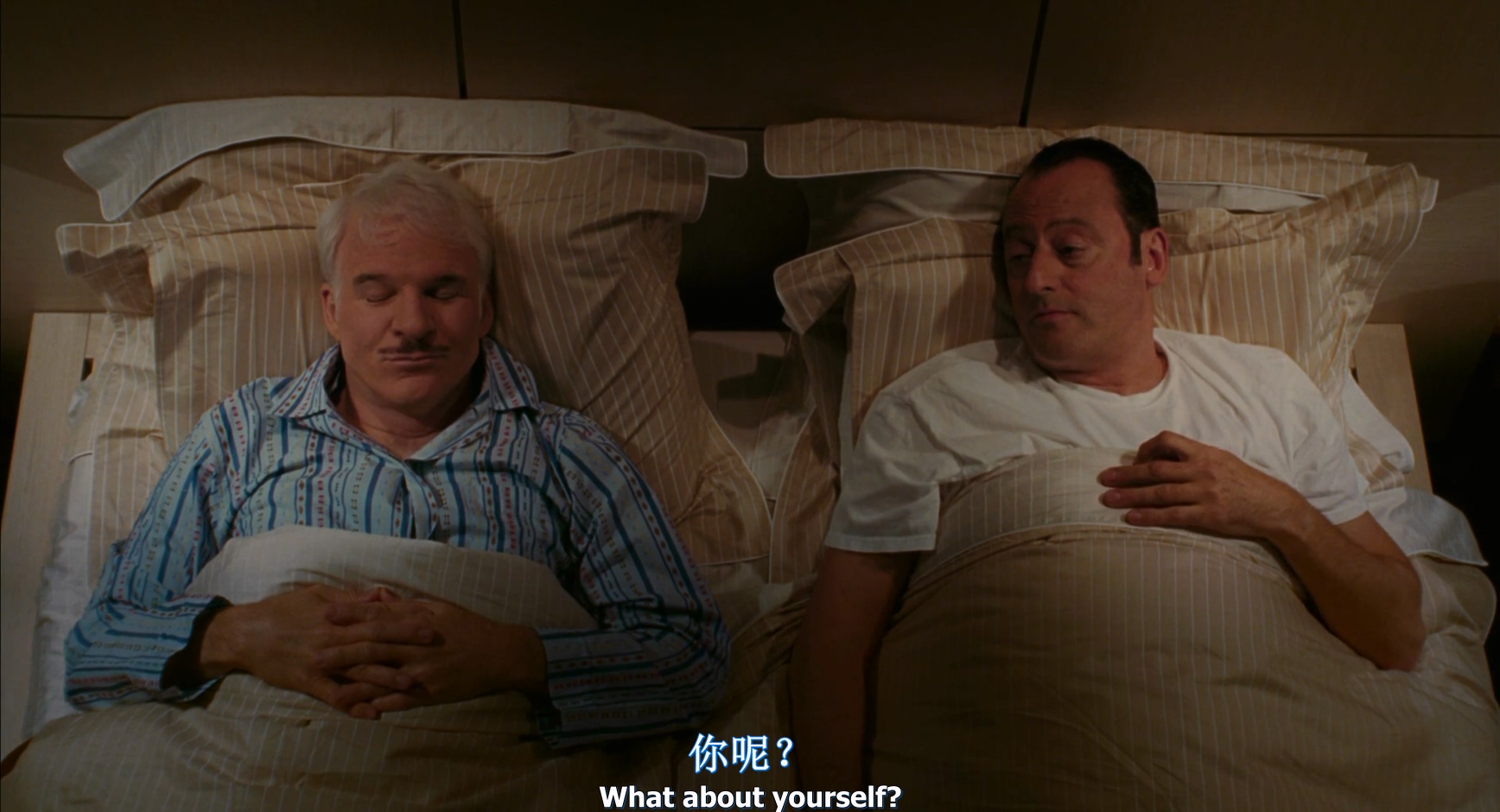 2006.粉红豹1(93分钟).1080P.央视六区台英中字.mkv_20250728_001152.780.jpg
