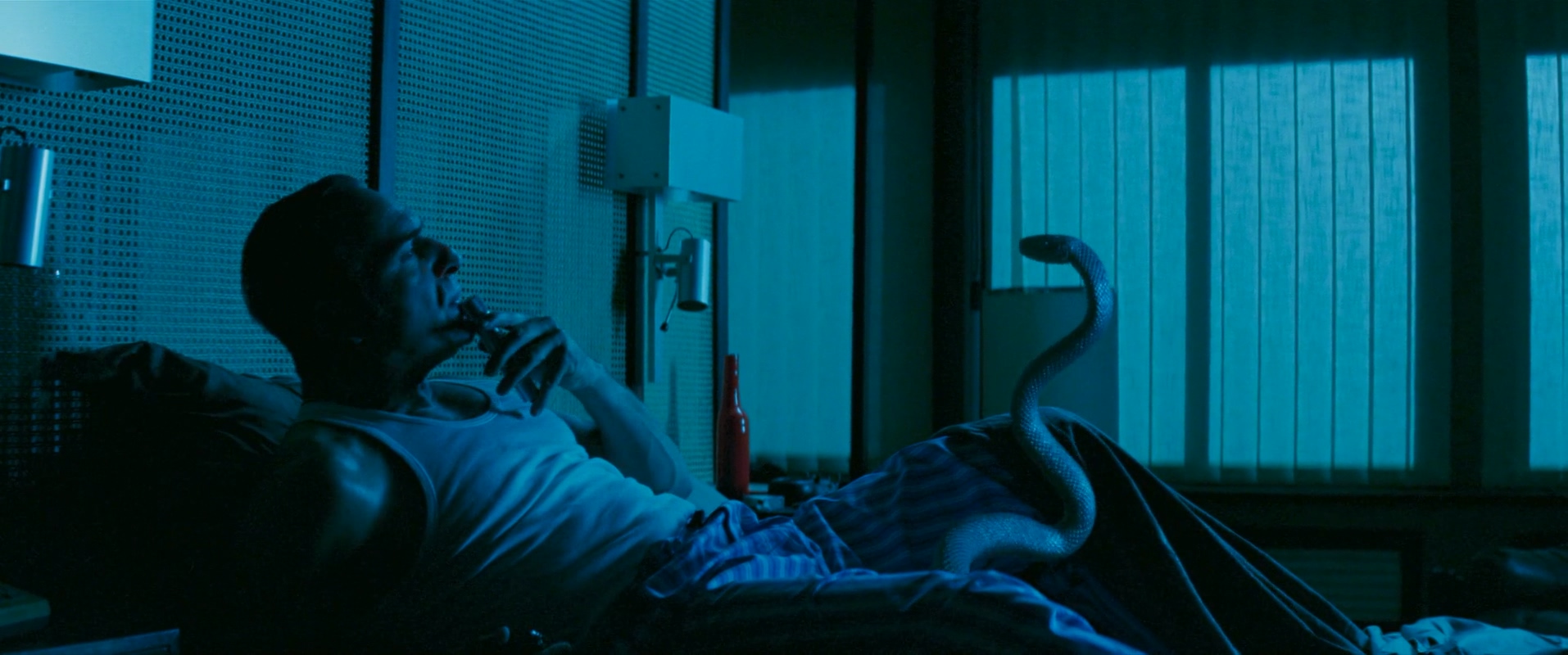 2021.OSS117之非洲谍影(116分钟).1080P.法语中字.mkv_20250731_005820.147.jpg