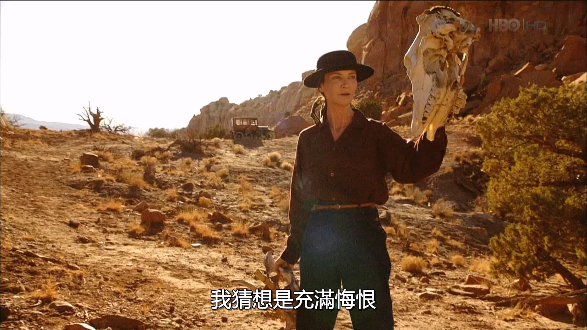 乔治亚·奥基弗.Georgia.OKeeffe.2009.1080i.HDTV.x264.AC3-HBOHD.央视国英双语.mkv_2.jpg
