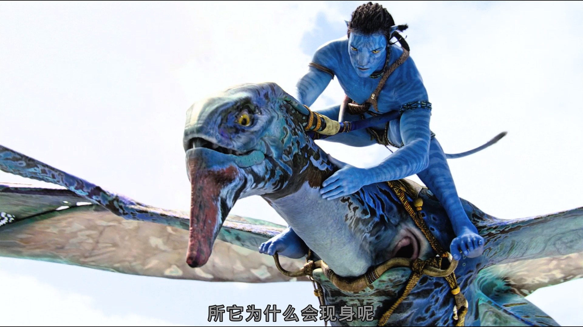 1f200f94-3c31-4adb-8be8-e6f8e374855d.jpg