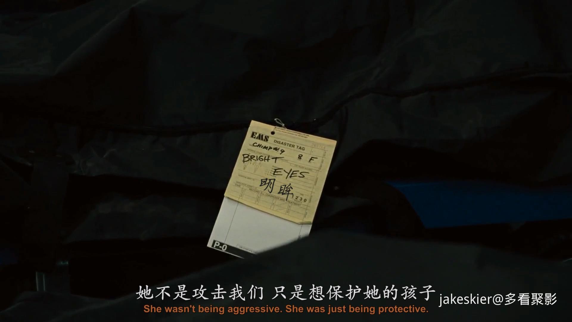2011.猩球崛起(满屏版105分钟).1080P.上译英特效对应中字.mkv_20250815_232711.252.jpg