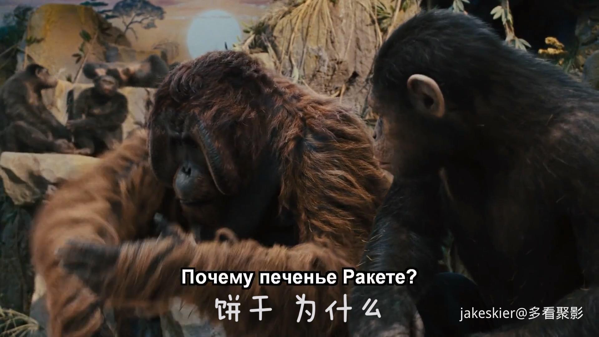2011.猩球崛起(满屏版105分钟).1080P.上译英特效对应中字.mkv_20250815_234415.831.jpg