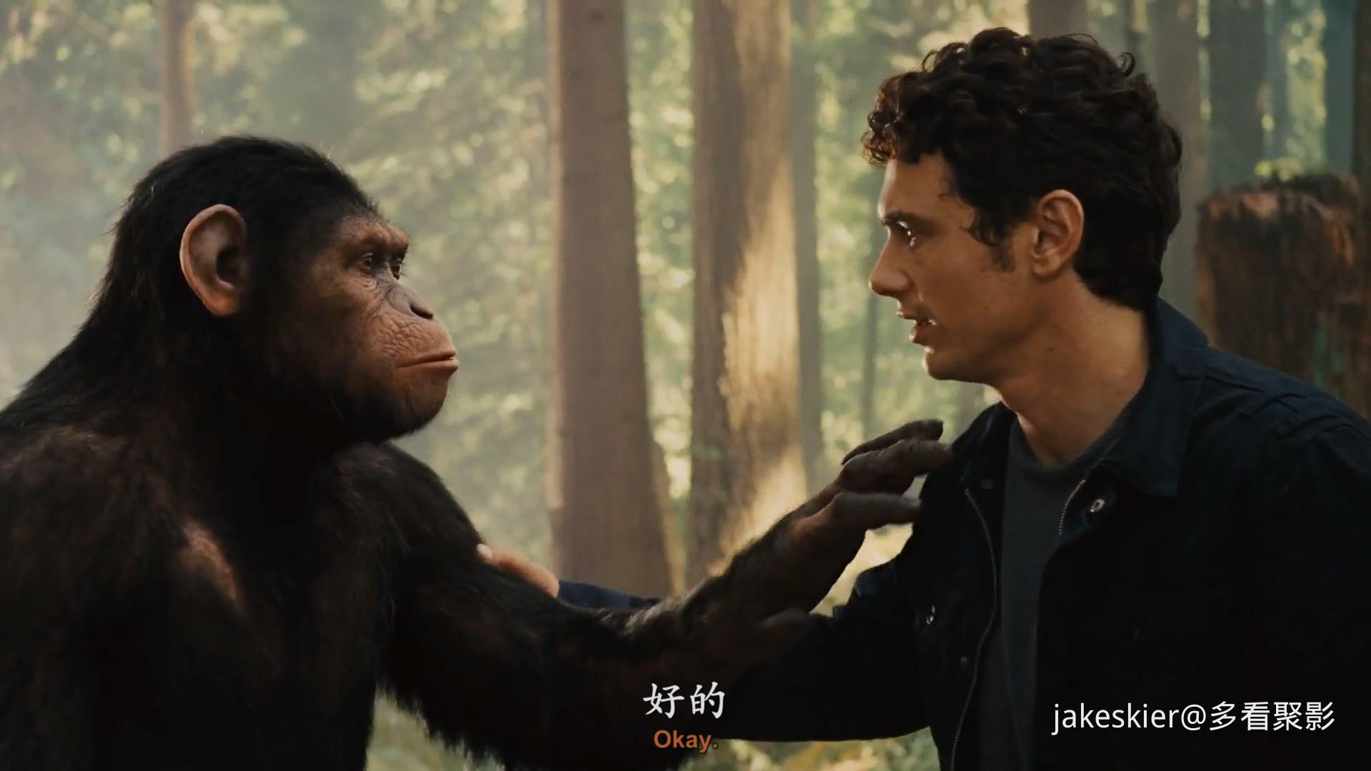 2011.猩球崛起(满屏版105分钟).1080P.上译英特效对应中字.mkv_20250815_234507.209.jpg
