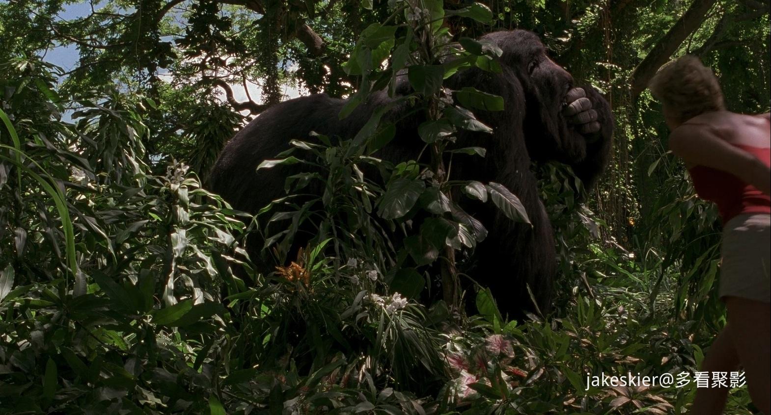 1998.巨猩乔扬(114分钟).1080P.六区英中字.mkv_20250816_000613.986.jpg