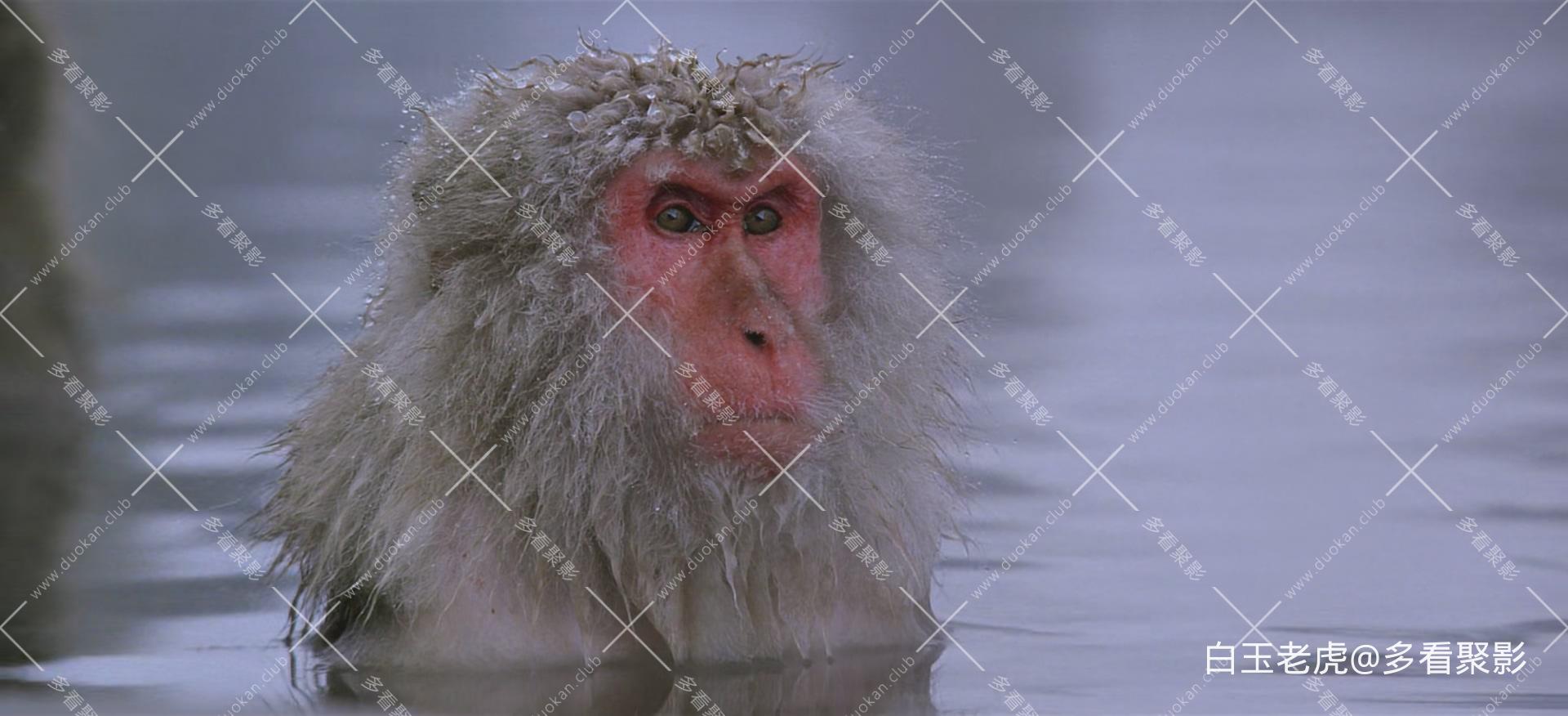 Baraka.1992.1080p.BluRay.x265-RARBG-bylh.mkv_20250824_151736.270.jpg
