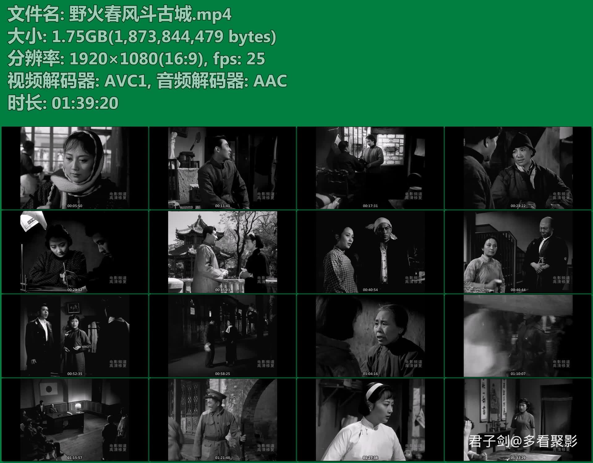 野火春风斗古城.mp4.jpg