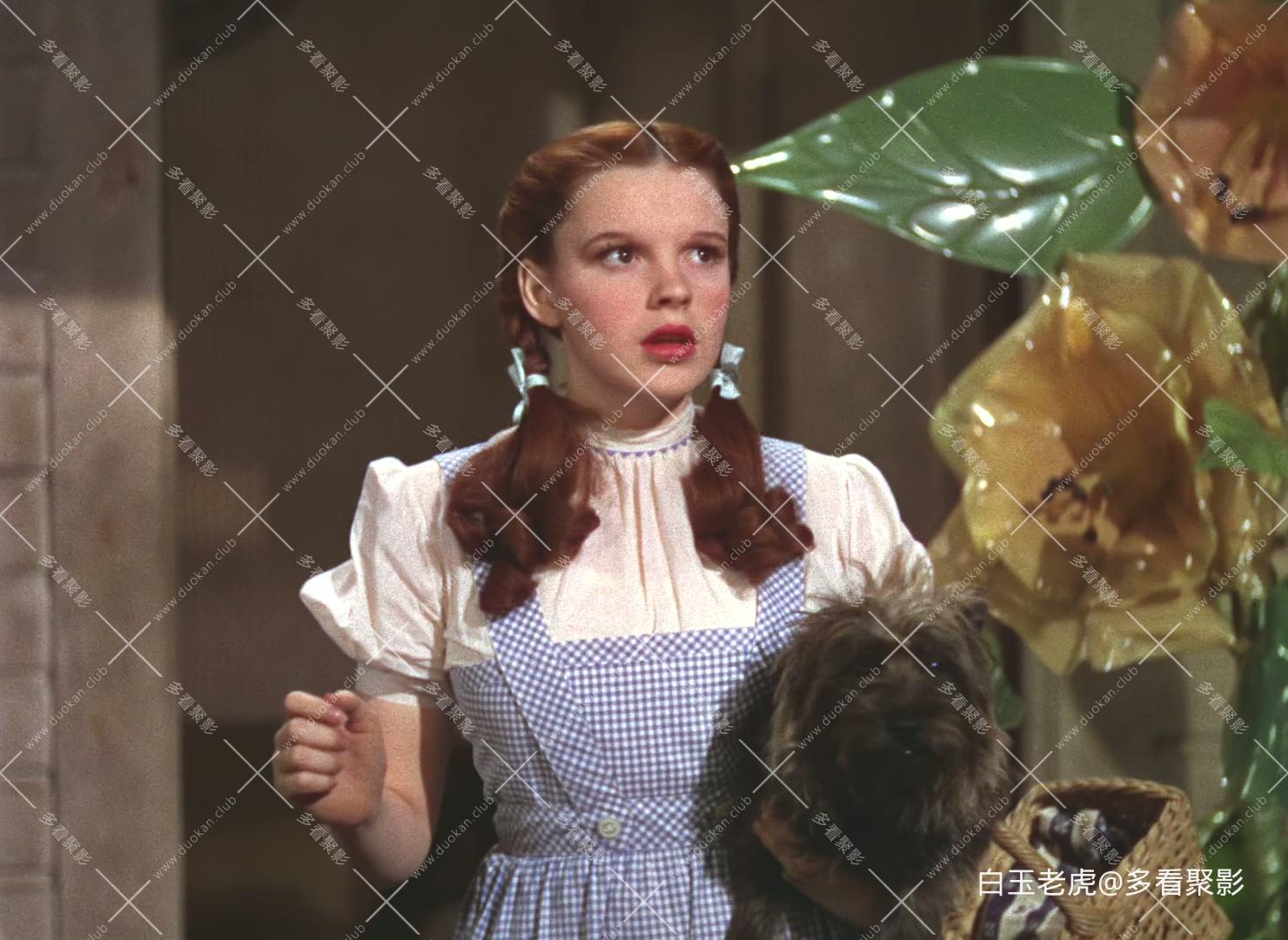 The.Wizard.of.Oz.1939.BluRay.1080p.x265.10bit.2Audio-MiniHD.mkv_20250927_175316.952.jpg